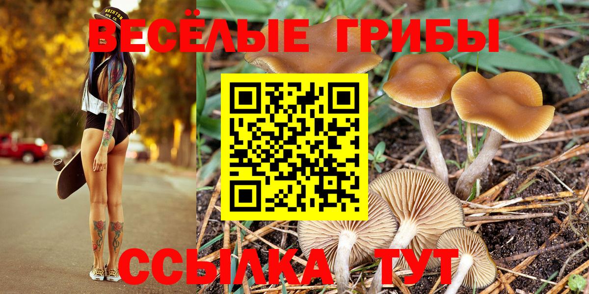 Псилоцибиновые грибы Magic Shrooms  Вход с VPN  Армавир 